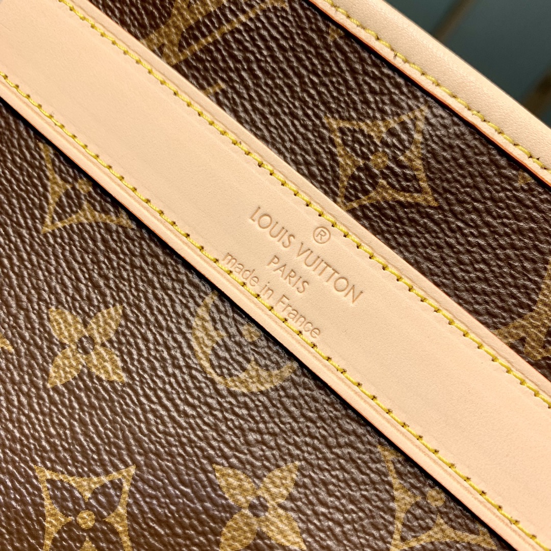 LV Travel Bags
